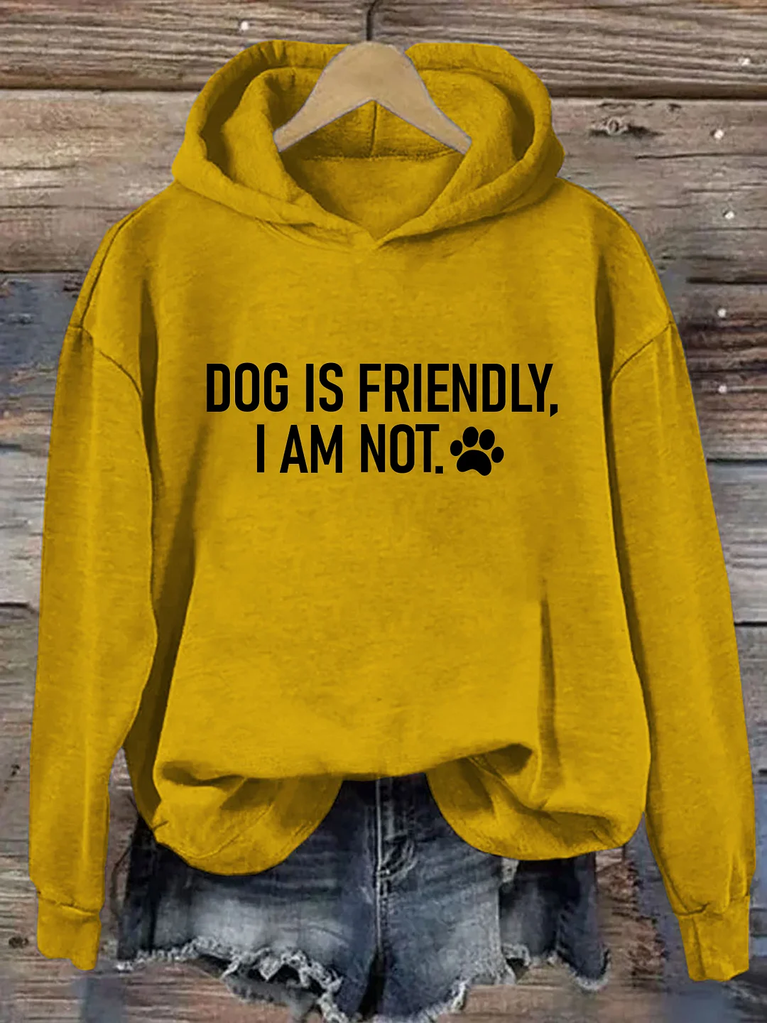 Dog Is Friendly I Am Not Hoodie