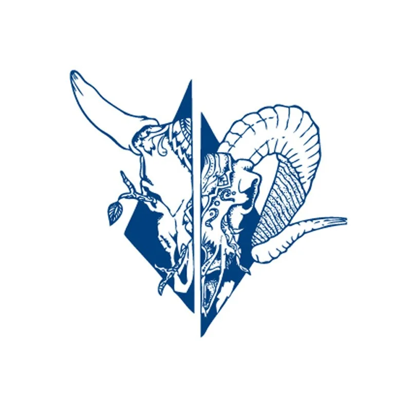 Semi-permanent Waterproof Temporary Tattoo Skull Snake Flower Body Art Tattoo Sticker Full Fake Tatoo Women Men