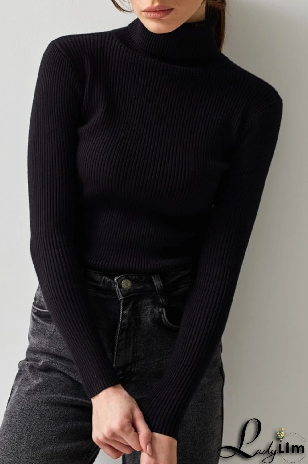 Black Casual Solid Basic Turtleneck Tops