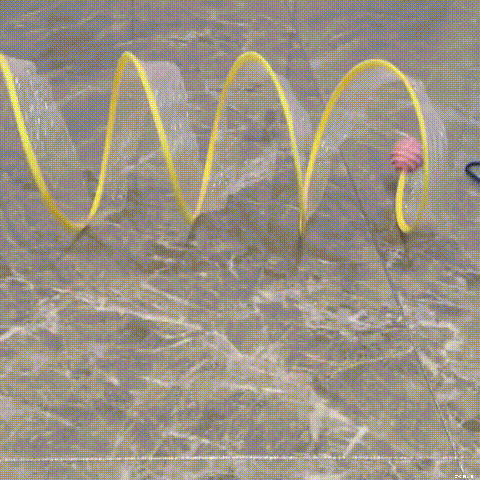 Cat Tunnel Toy - Last Sale 70% Off