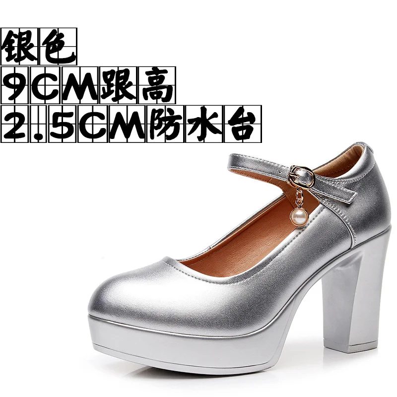 Breakj Breakj 6Cm Silver Heeled Show Shoes Thick-Singing Leather Shoes Thick-Soled Model Single-Shoe Large-Size Working Shoes