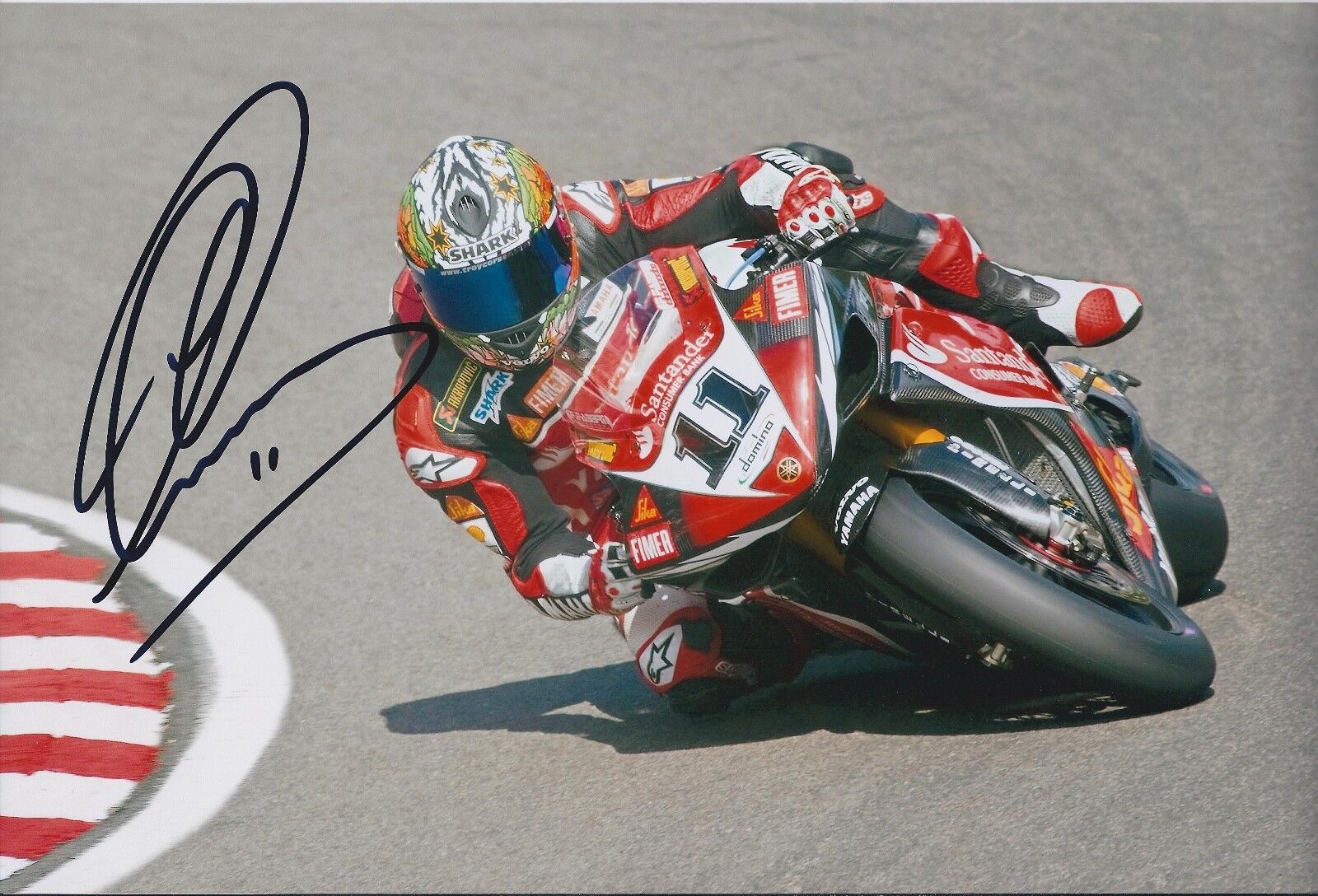 Troy Corser AUTHENTIC SIGNED Autograph 12x8 Photo Poster painting AFTAL COA WSB World Champion