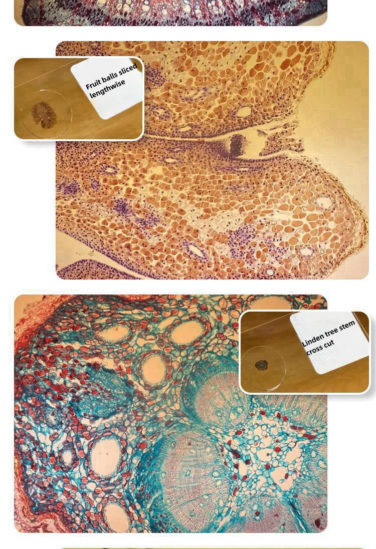 Suitable for iPhone12/13/14 mobile phone microscope lens 400X high-definition small mini micro microscope