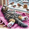 Diamond Painting-DIY Full Round Drill Cat by the Window(40*40 CM)