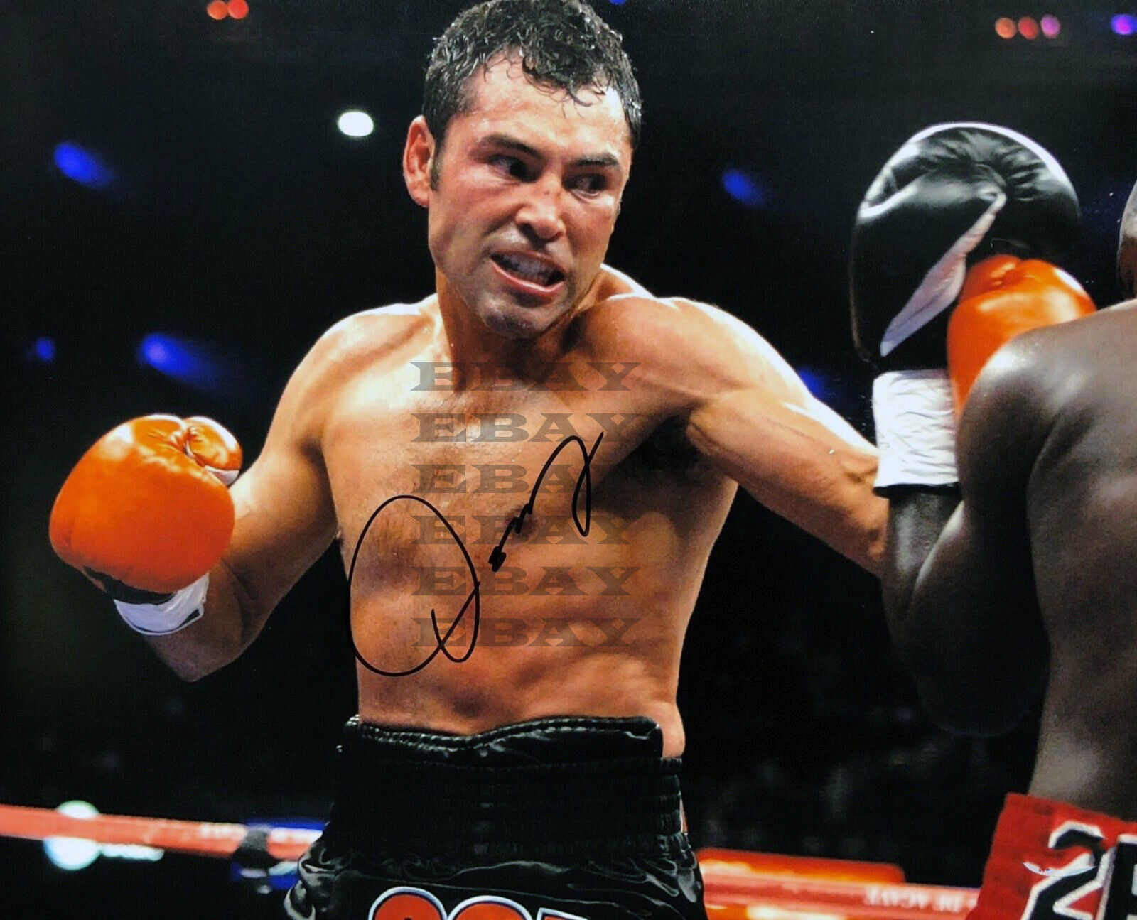 Oscar De La Hoya Signed Autographed 8x10 Photo Poster painting Reprint