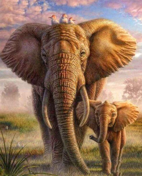 

African Elephant And His Cub – Paint By Numbers - 40*50CM, 501 Original