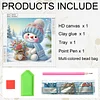 Diamond Painting - Partial Special Shaped Drill - Winter Snowman(Canvas|30*30cm)
