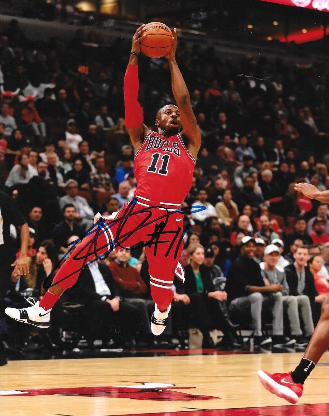 David Nwaba signed Chicago Bulls 8x10 Photo Poster painting autographed 2