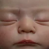 Babiesprincess Lifelike Reborn Baby Doll, Babiesprincess
