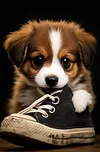 Luxury AB Velvet Diamond Painting Kit - Puppy