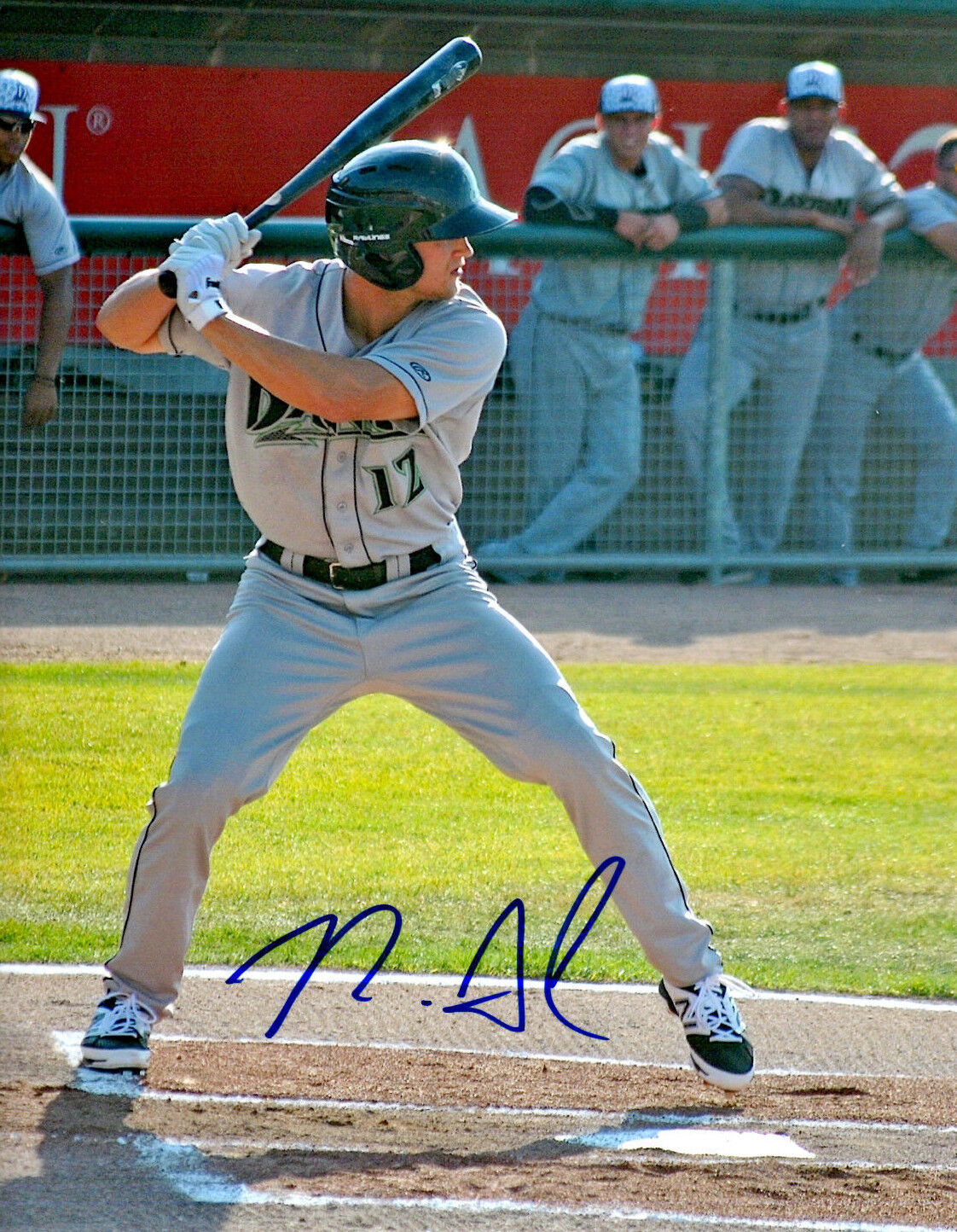 Nick Senzel Cincinnati Reds top prospect Signed baseball 8x10 Photo Poster painting Autograph d