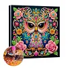 Diamond Painting-DIY Special Shaped Drill Rose Surrounded Mandala Owl with Frame(29x29cm)