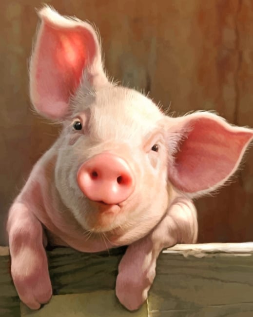 

Happy Pig – Paint By Numbers - 40*50CM, 501 Original