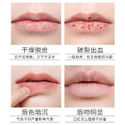 倩滋保湿润唇膏 维生素B5润唇膏牛油果保湿滋润唇油蜂蜡无色防干裂秋冬润唇膜10g