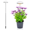 Full Spectrum Grow Lights Height Adjustable Plant Growing Lamp for Indoor Plants