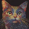 Diamond Painting-DIY Crystal Rhinestone Art Cat(Box Packaging)