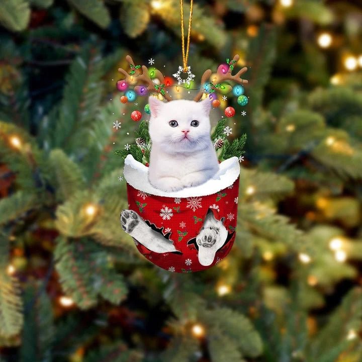 Cat 4 In Snow Pocket Christmas Ornament.