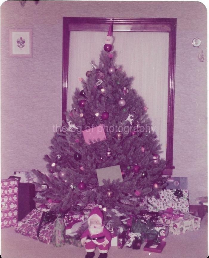 Christmas Tree FOUND Photo Poster painting ColorOriginal Snapshot VINTAGE 09 4 B