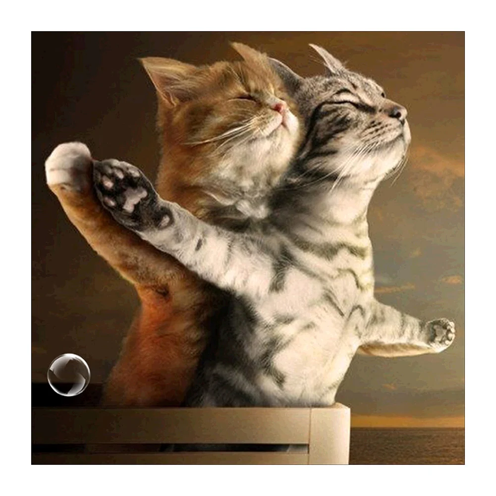 Intimate Cats - Partial Drill - Diamond Painting(30*30cm)