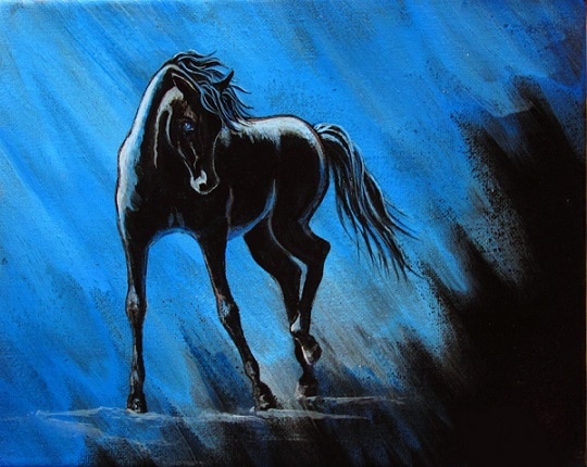 

Horse Midnight Blue – Paint By Numbers - 40*50CM, 501 Original