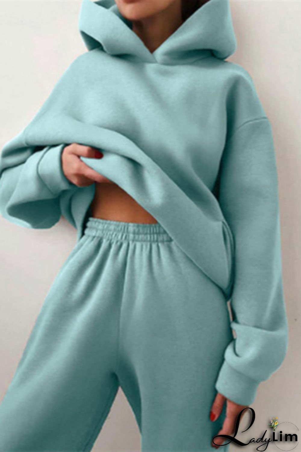 Purple Fashion Casual Solid Basic Hooded Collar Long Sleeve Two Pieces