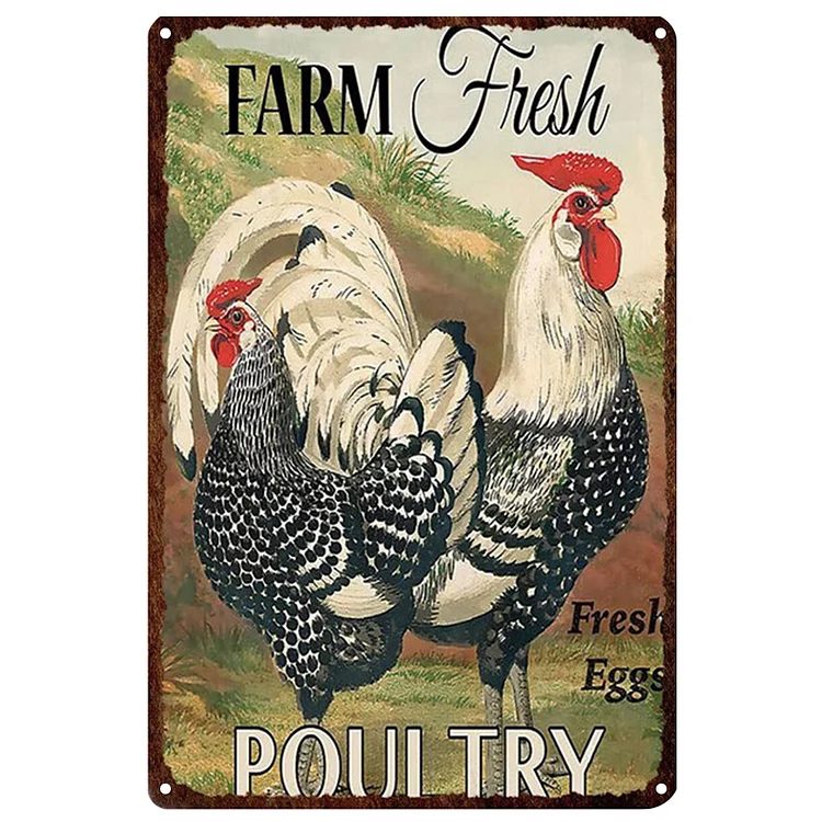 Chicken - Farm Fresh Poultry Vintage Tin Signs/Wooden Signs - 7.9x11.8in & 11.8x15.7in