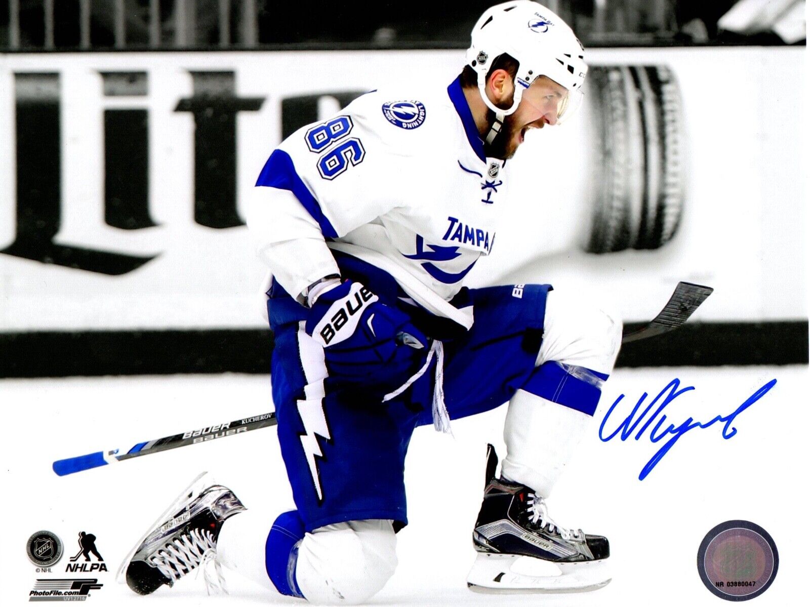 Nikita Kucherov autographed signed 8x10 Photo Poster painting NHL Tampa Bay Lightning JAG COA