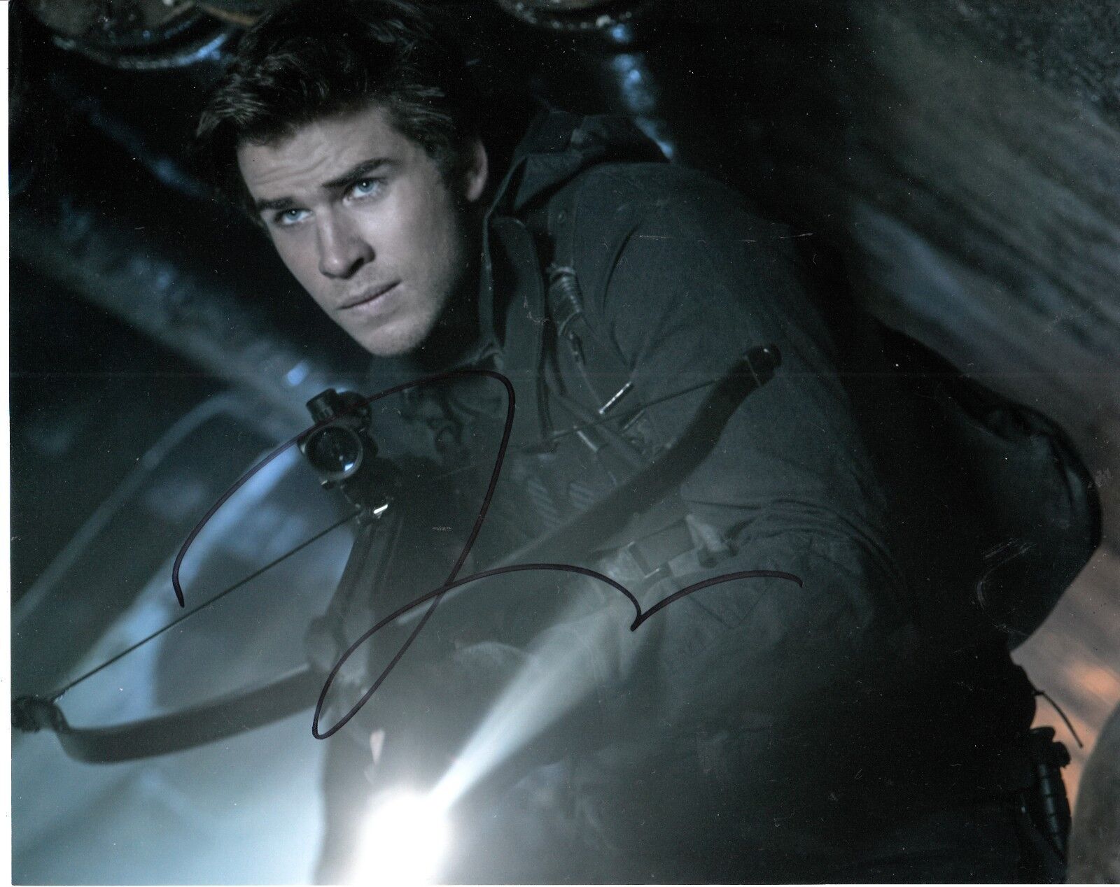 LIAM HEMSWORTH SIGNED HUNGER GAMES Photo Poster painting UACC REG 242