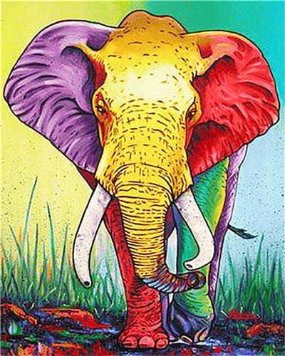 

Colorful African Elephant – Paint By Numbers - 40*50CM, 501 Original