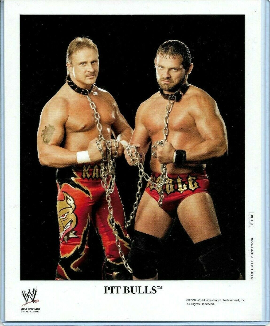 WWE PIT BULLS P-1118 OFFICIAL LICENSED AUTHENTIC ORIGINAL 8X10 PROMO Photo Poster painting RARE