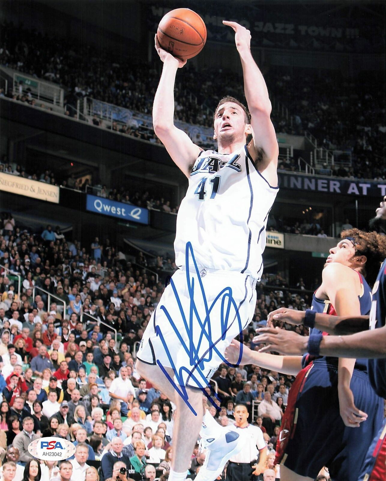 Kosta Koufos signed 8x10 Photo Poster painting PSA/DNA Utah Jazz Autographed