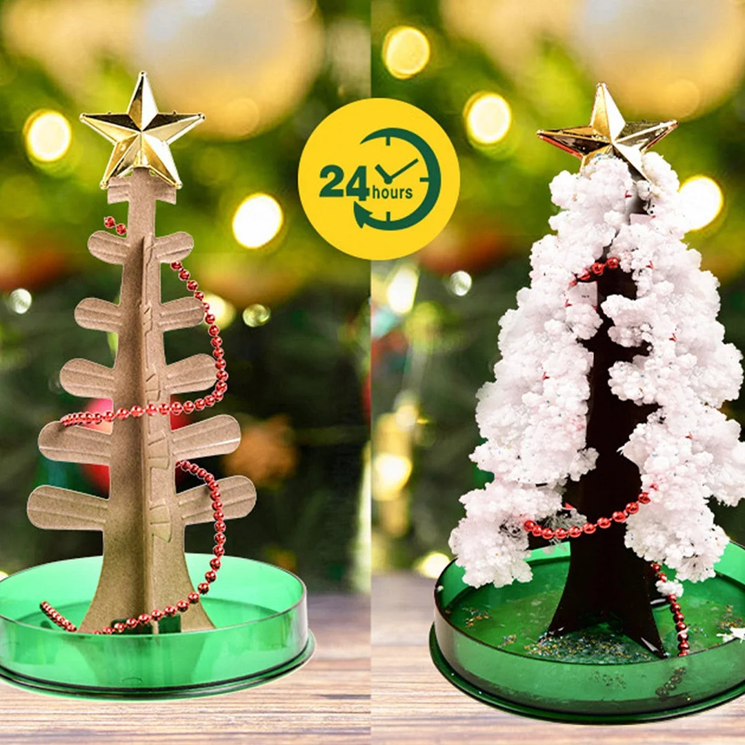 Magic Growing Christmas Tree Kit