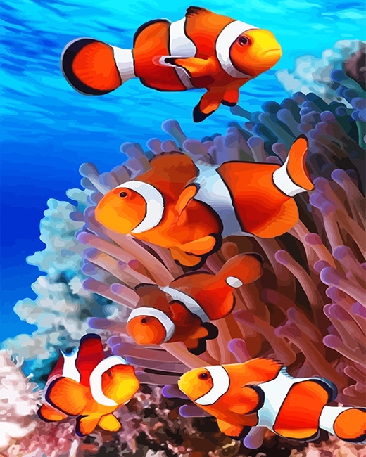 

Colorful Clown-fish – Paint By Numbers - 40*50CM, 501 Original