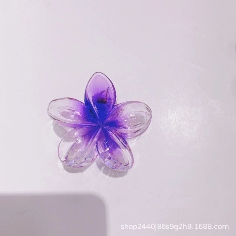 2 Pieces Women’s Sweet Flower Arylic Hair Claws