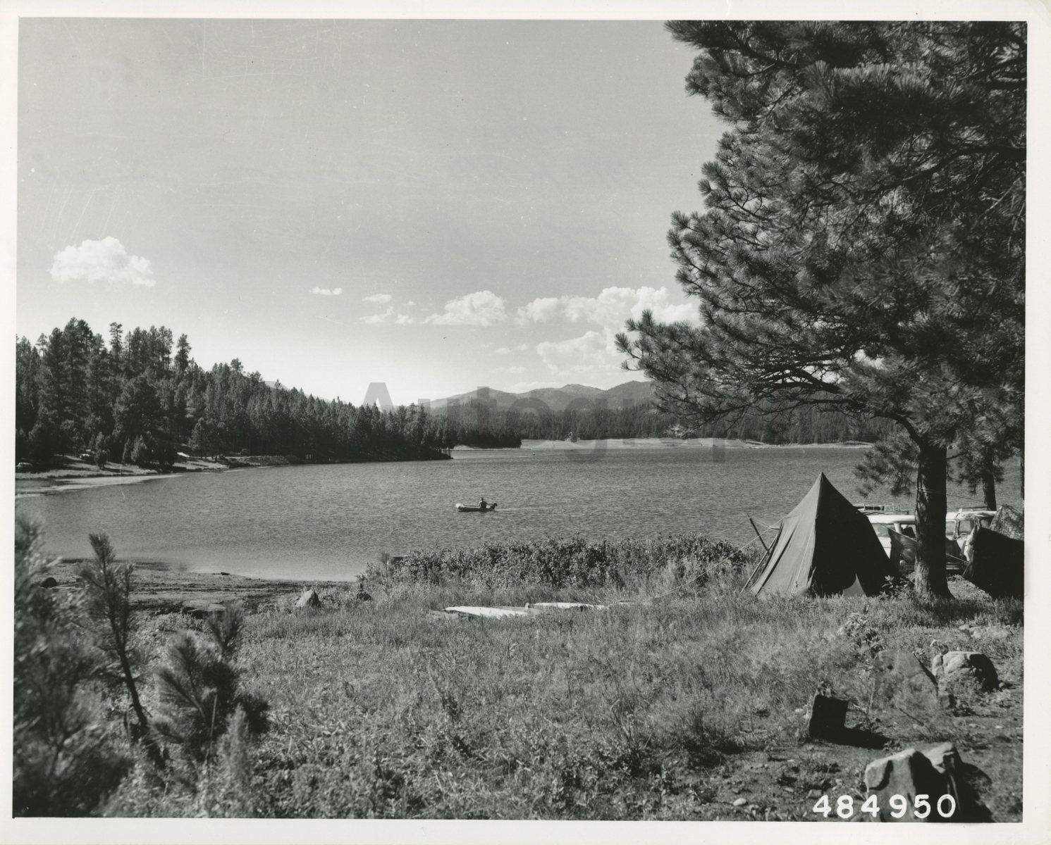 South Dakota History - Vintage 8x10 Photo Poster paintinggraph - Black Hills National Forest