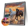(40*40cm)Horse -  Full Round Drill Diamond Painting