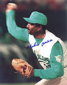 ALEJANDRO PENA FLORIDA MARLINS ACTION SIGNED 8x10