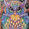 DIY Owl Special Shaped Diamond Painting 50 Page A5 Sketchbook Painting Book