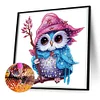 >SALE<5D DIY Partial Special Shaped Drill Diamond Painting Magic Owl Kit Decor 30x30cm