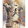 Bird - 18CT Stamped Cross Stitch - 40*50cm