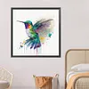 Colorful Bird-Paint By Numbers Acrylic Painting 40*40CM