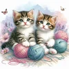 Kitten - 11CT Stamped Cross Stitch - 40*40cm - Cat