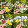 Dried flower bookmark handmade DIY material transparent specimen bottle spring homemade embossed plant flowers