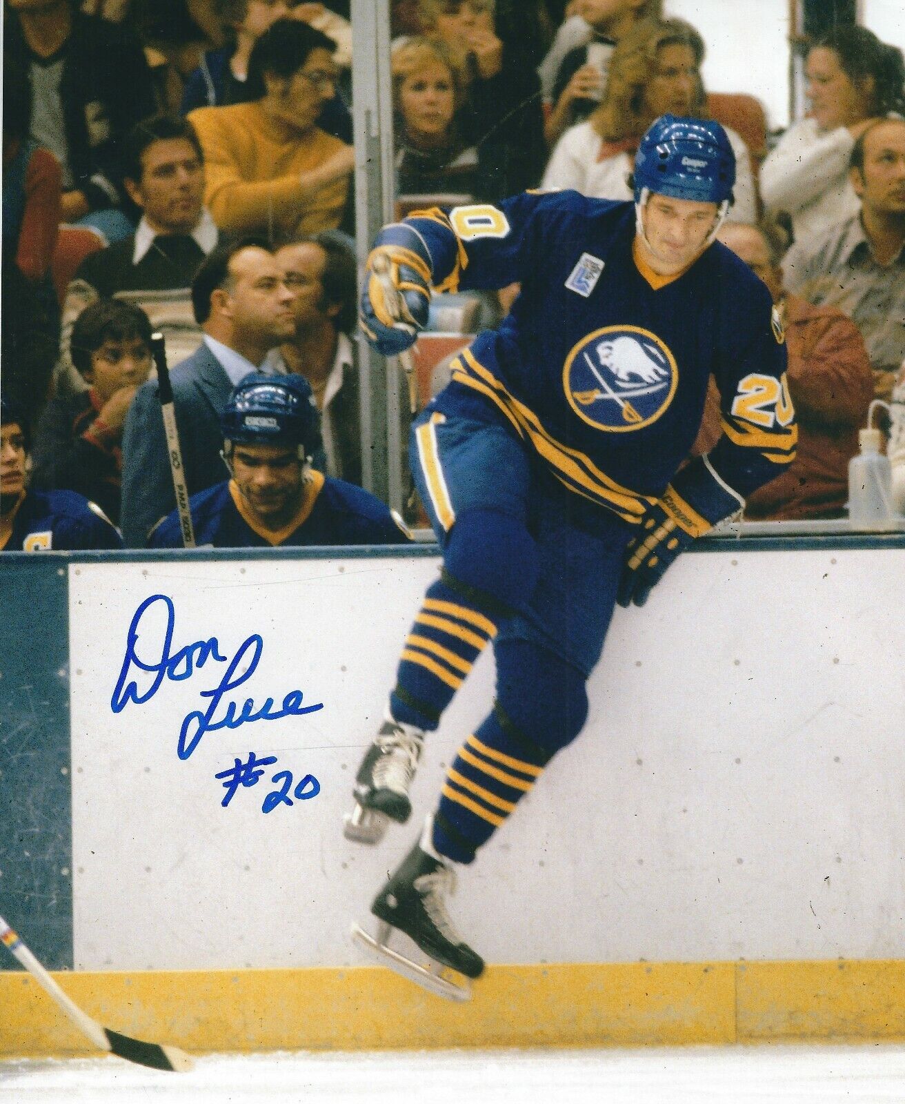 Autographed 8x10 DON LUCE Buffalo Sabres Photo Poster painting - w/COA