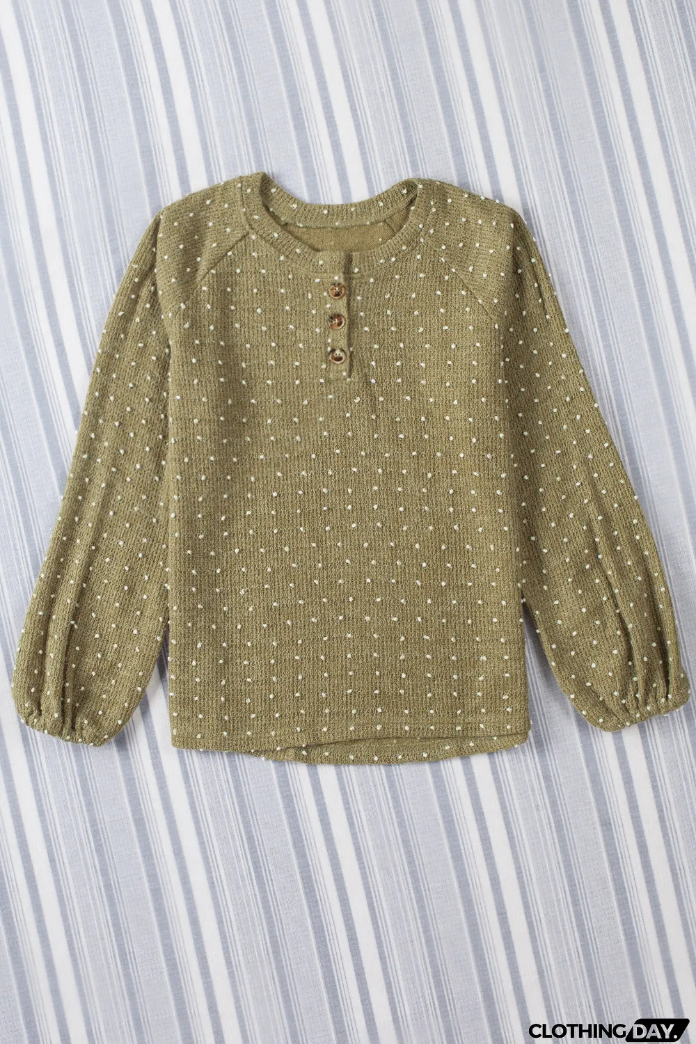 Swiss Dot Raglan Sleeves Knit Top