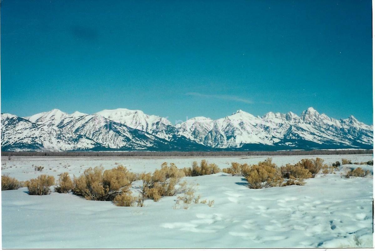 Winter Mountains FOUND Photo Poster painting ColorOriginal GRAND TETONS 99 14