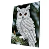DIY Pearl Painting Owl for Home Wall Decor with Frame(30x40cm)