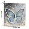 DIY Pearl Painting Butterfly for Home Decor with Frame(30x30cm)