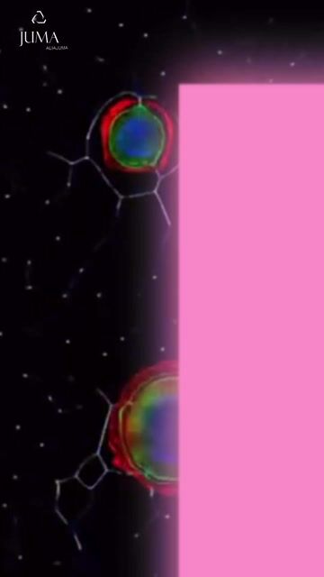 EZZAT Bastet Bag - 4 Recycled Water Bottles - White