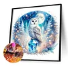 Diamond Painting-DIY Full Round Drill Owl（40*40CM)